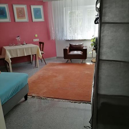 Vila Desire Heidelberg Exteriér fotografie