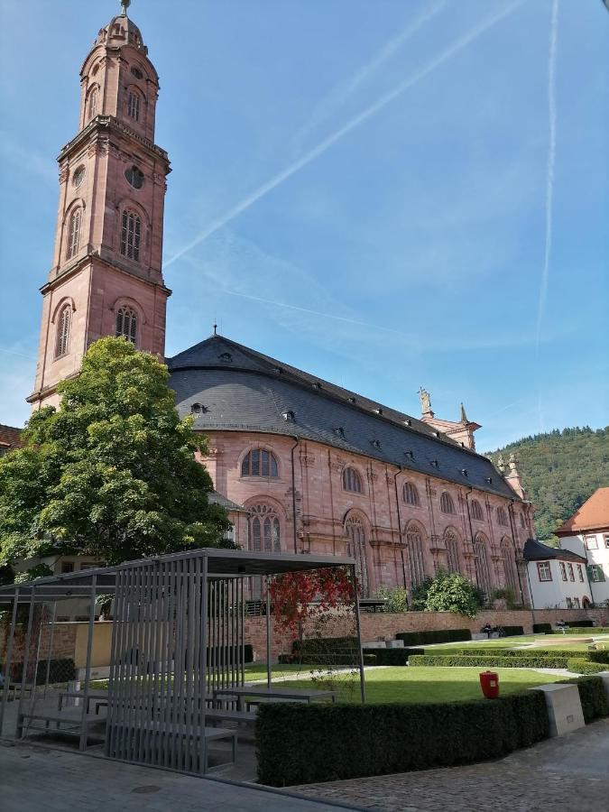 Vila Desire Heidelberg Exteriér fotografie