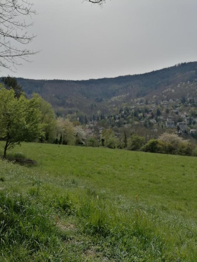 Vila Desire Heidelberg Exteriér fotografie