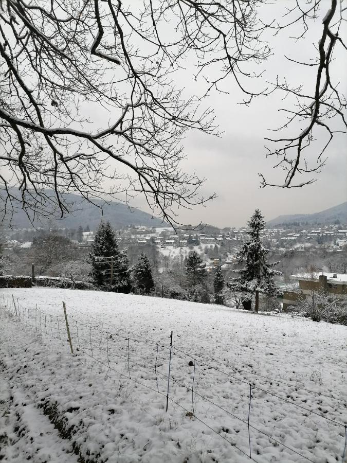Vila Desire Heidelberg Exteriér fotografie